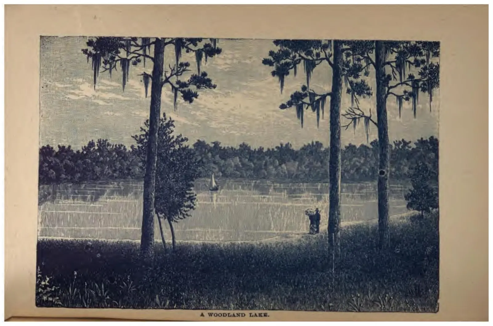 A Woodland Lake (Crosby, 1887)