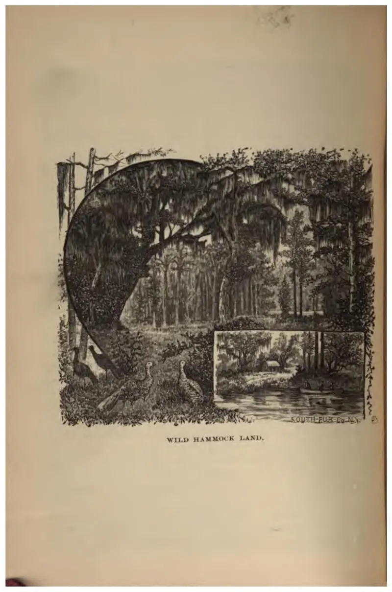 Wild Hammock Land (Crosby, 1887)