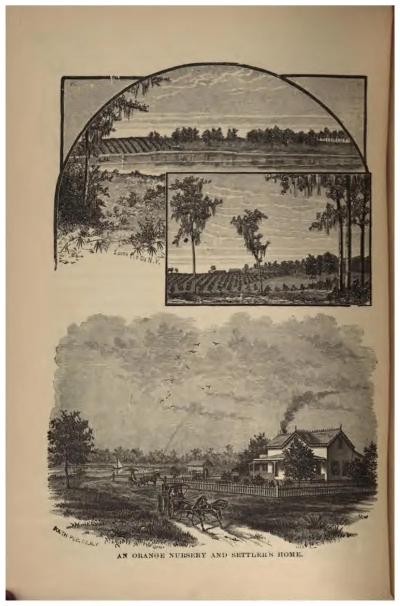 An Orange Nursery and Settler's Home (Crosby, 1887)