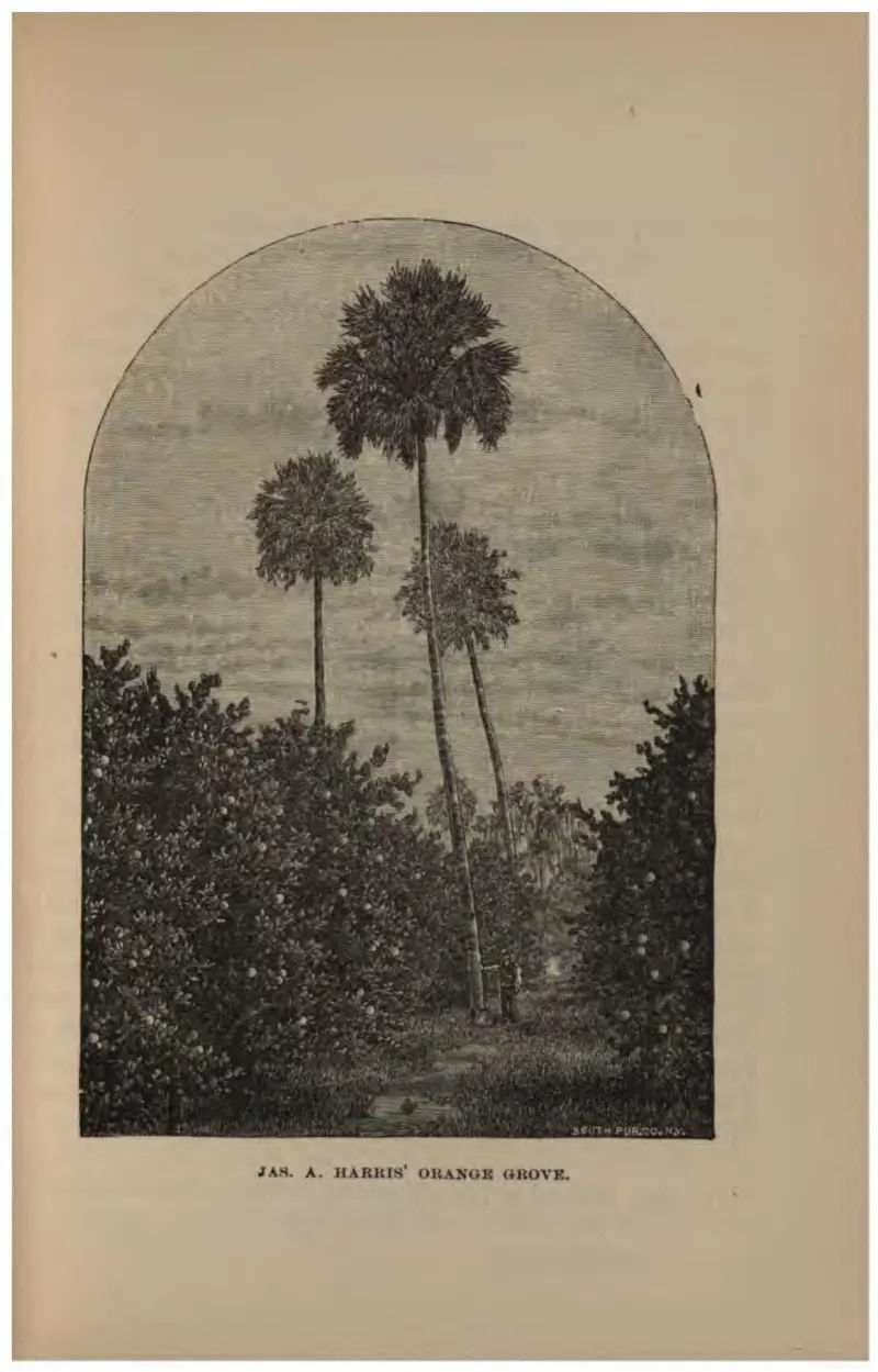 Jas. A. Harris' Orange Grove (Crosby, 1887)
