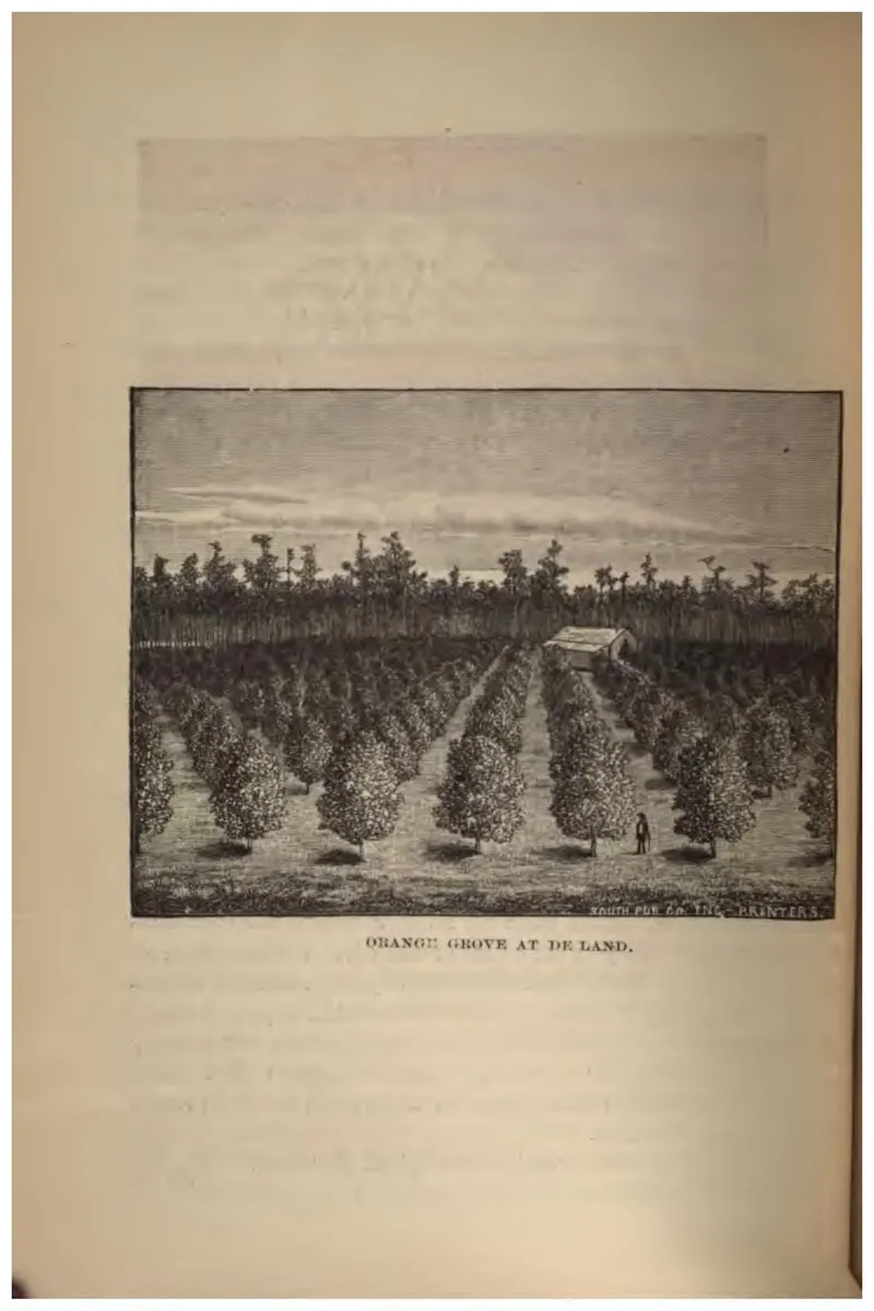 Orange Grove at De Land (Crosby, 1887)