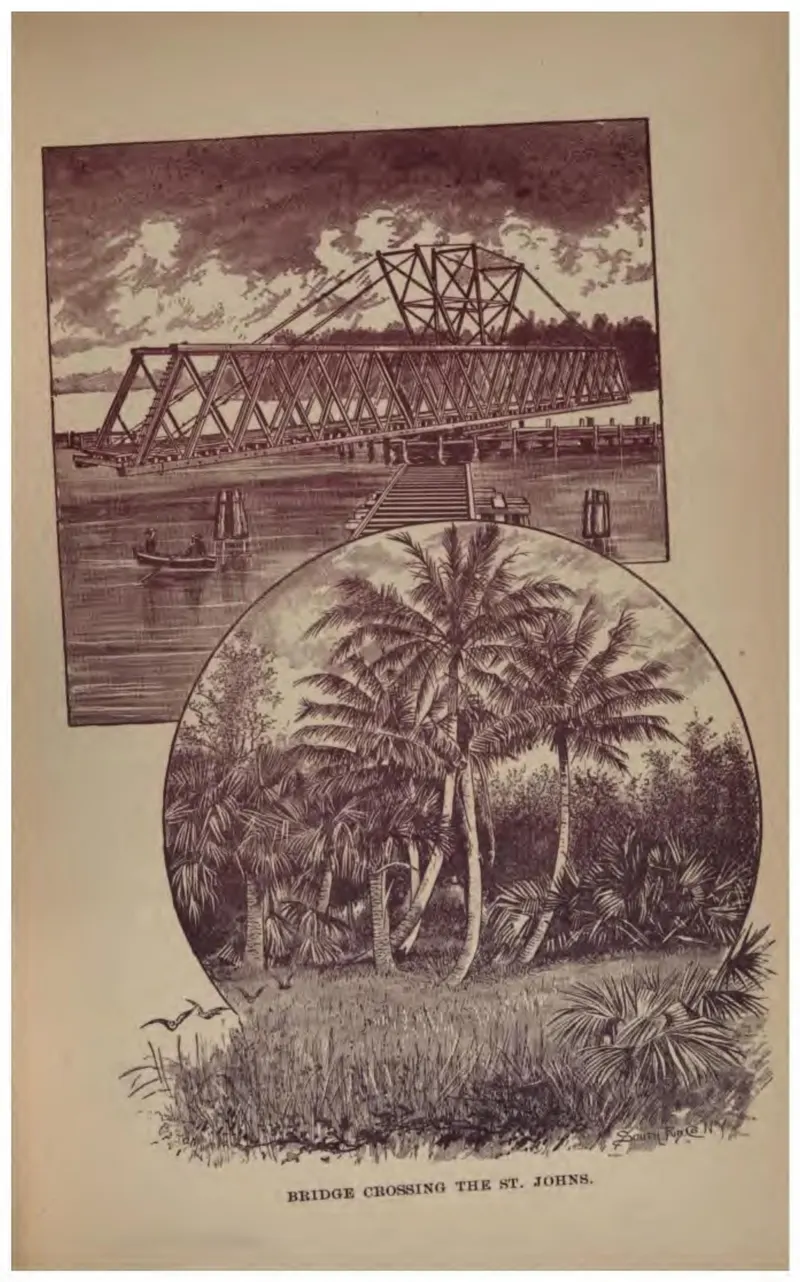 Bridge Crossing the St. Johns (Crosby, 1887)