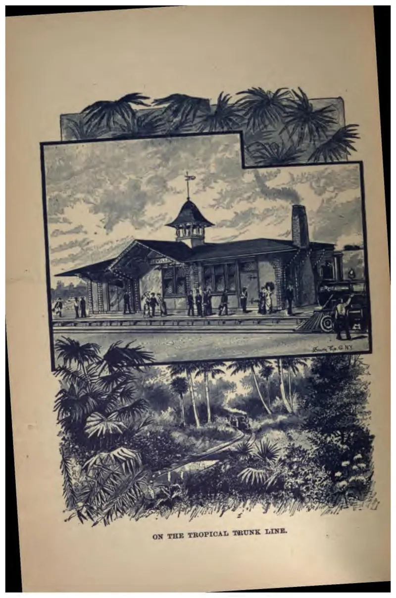 On the Tropical Trunk Line (Crosby, 1887)