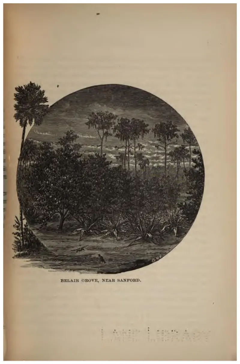 Belair Grove, near Sanford (Crosby, 1887)