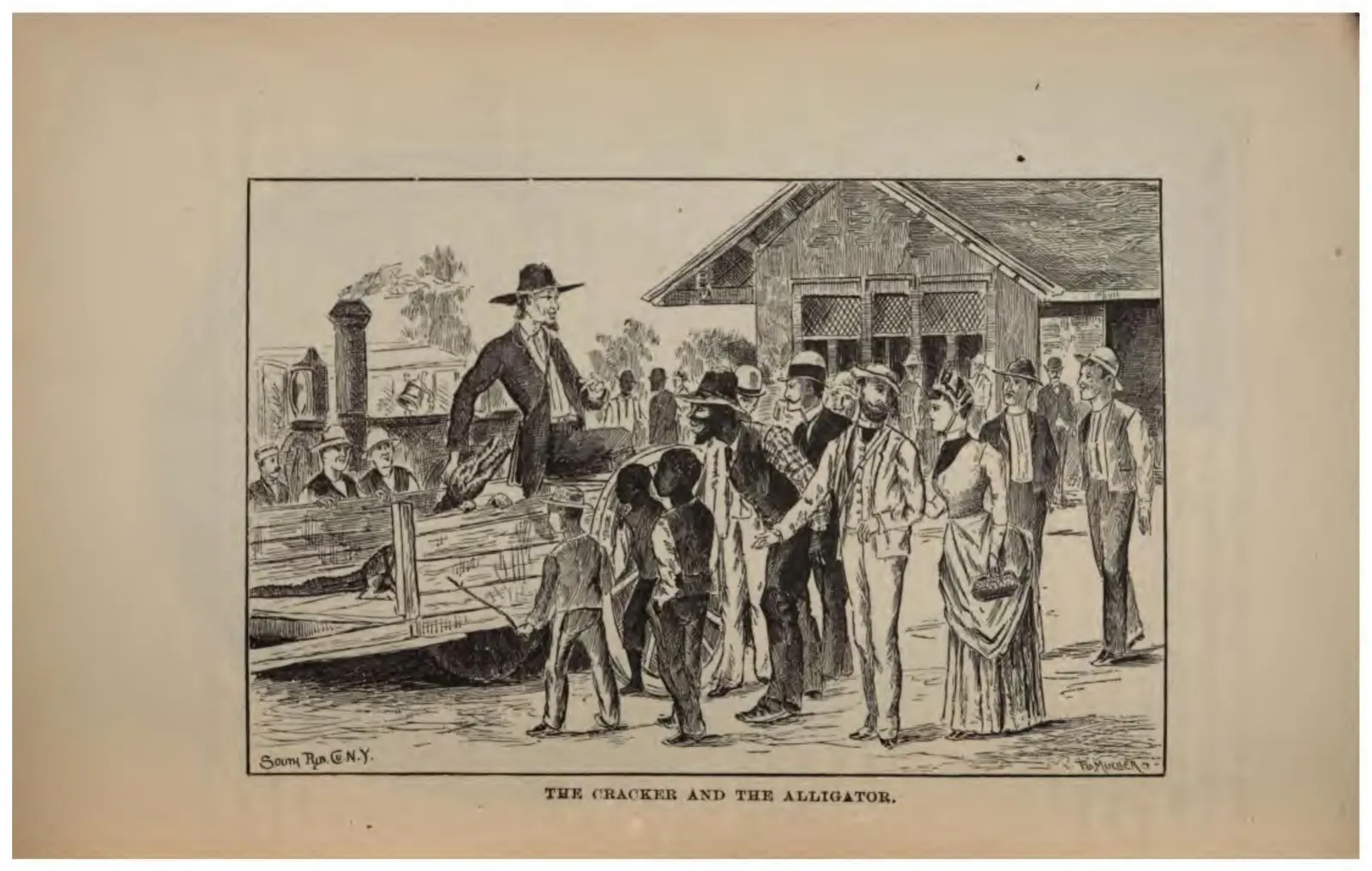 The Cracker and the Alligator (Crosby, 1887)