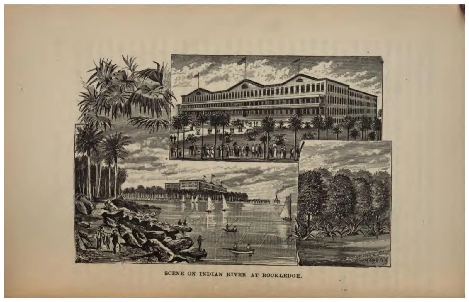 Scene on Indian River at Rockledge (Crosby, 1887)