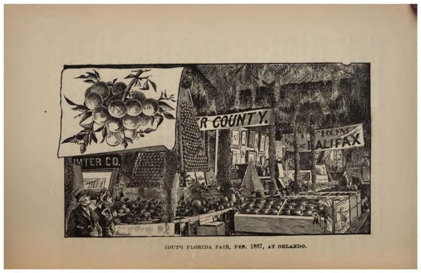 South Florida Fair, February 1887, at Orlando (Crosby, 1887)
