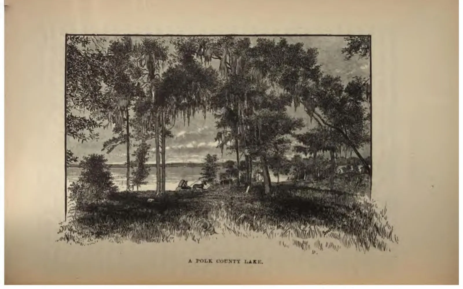 A Polk County Lake (Crosby, 1887)
