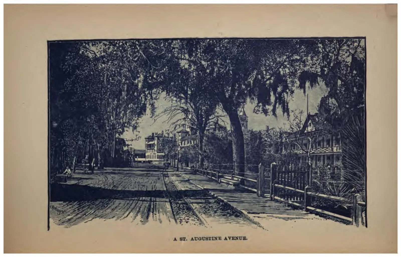 A St. Augustine Avenue (Crosby, 1887)