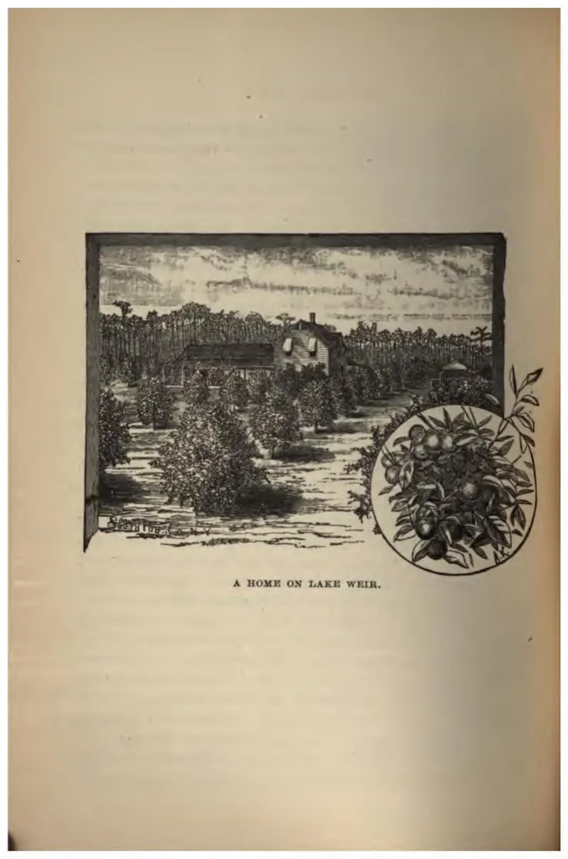 A Home on Lake Weir (Crosby, 1887)