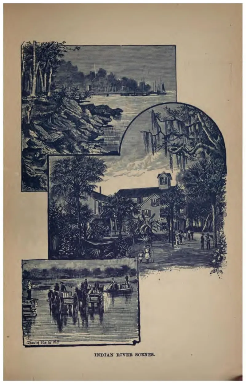 Indian River Scenes (Crosby, 1887)