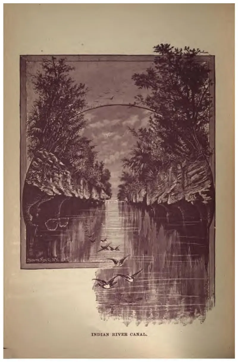 Indian River Canal (Crosby, 1887)