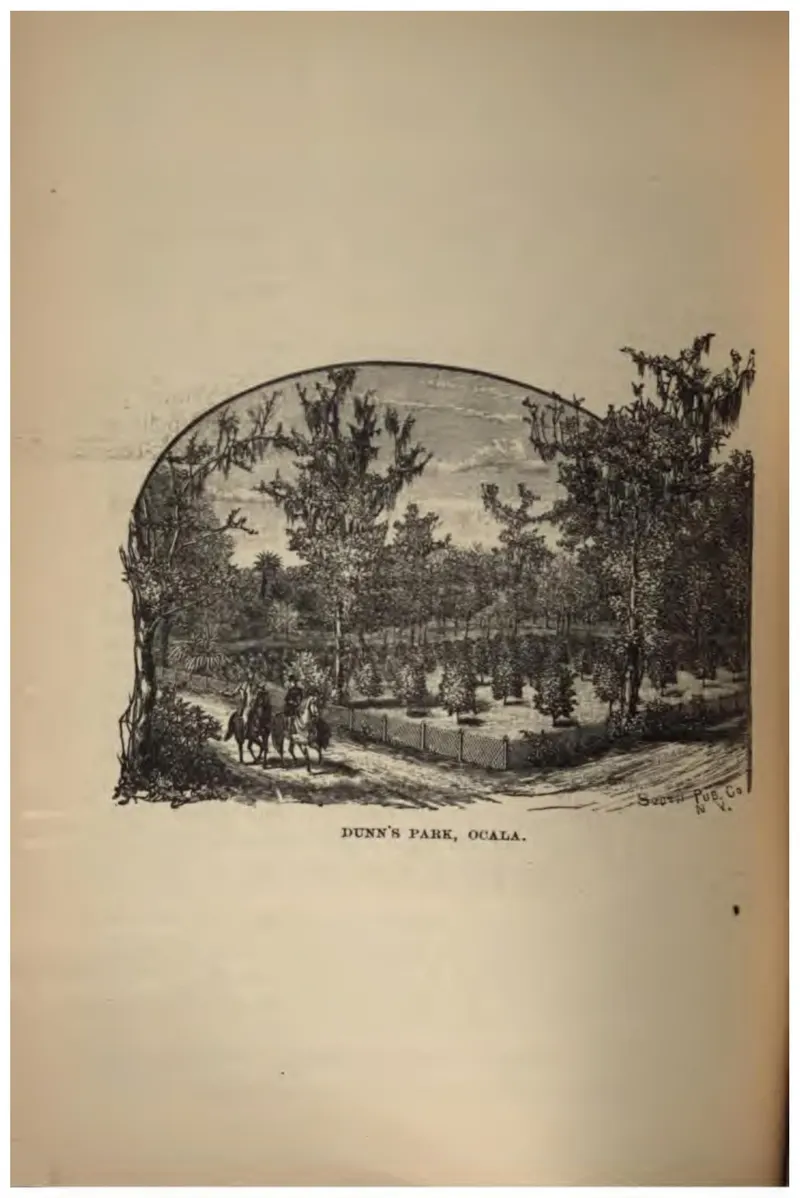 Dunn's Park, Ocala (Crosby, 1887)