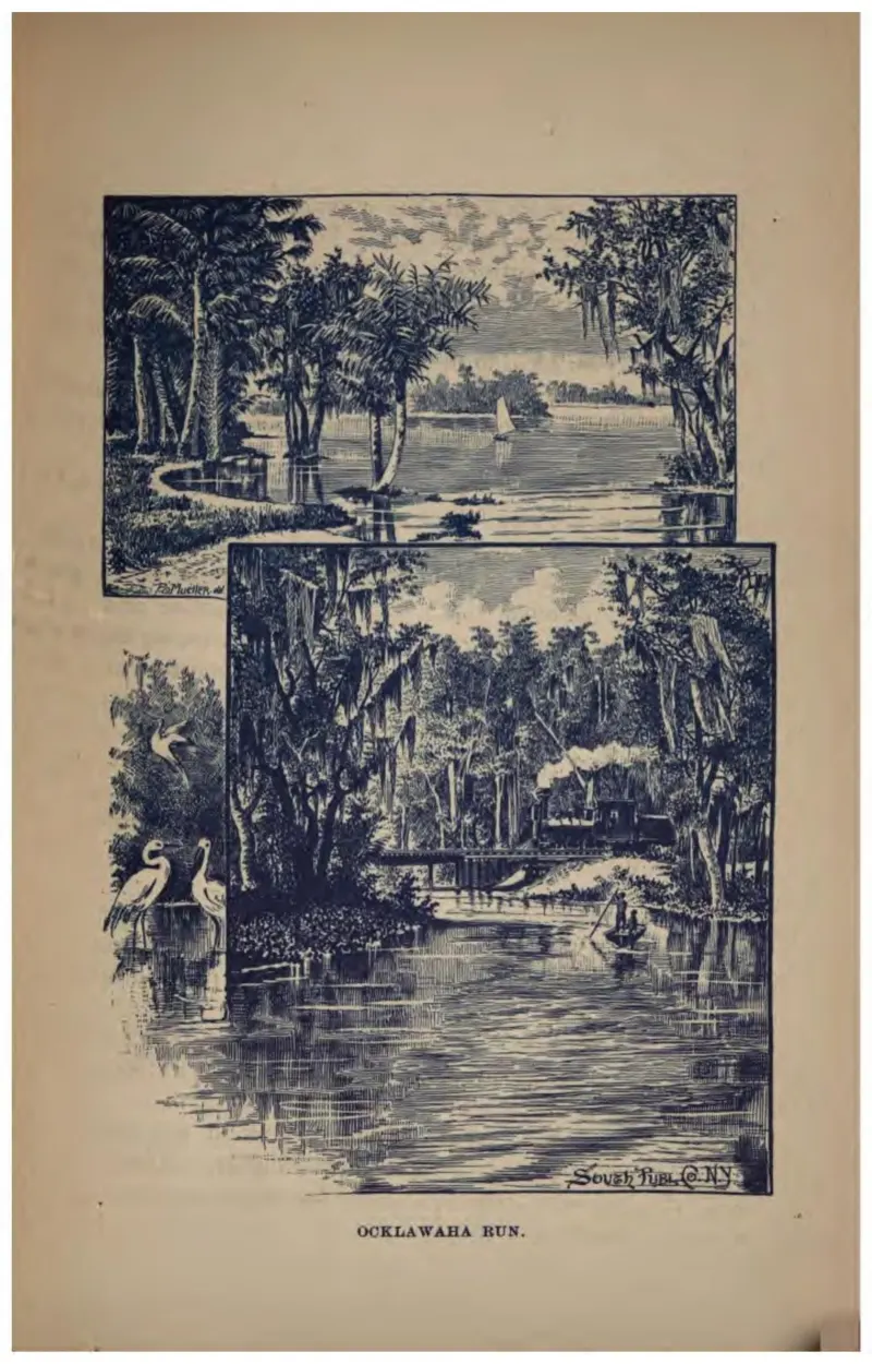 Ocklawaha Run (Crosby, 1887)