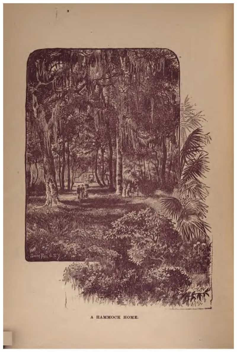 A Hammock Home (Crosby, 1887)