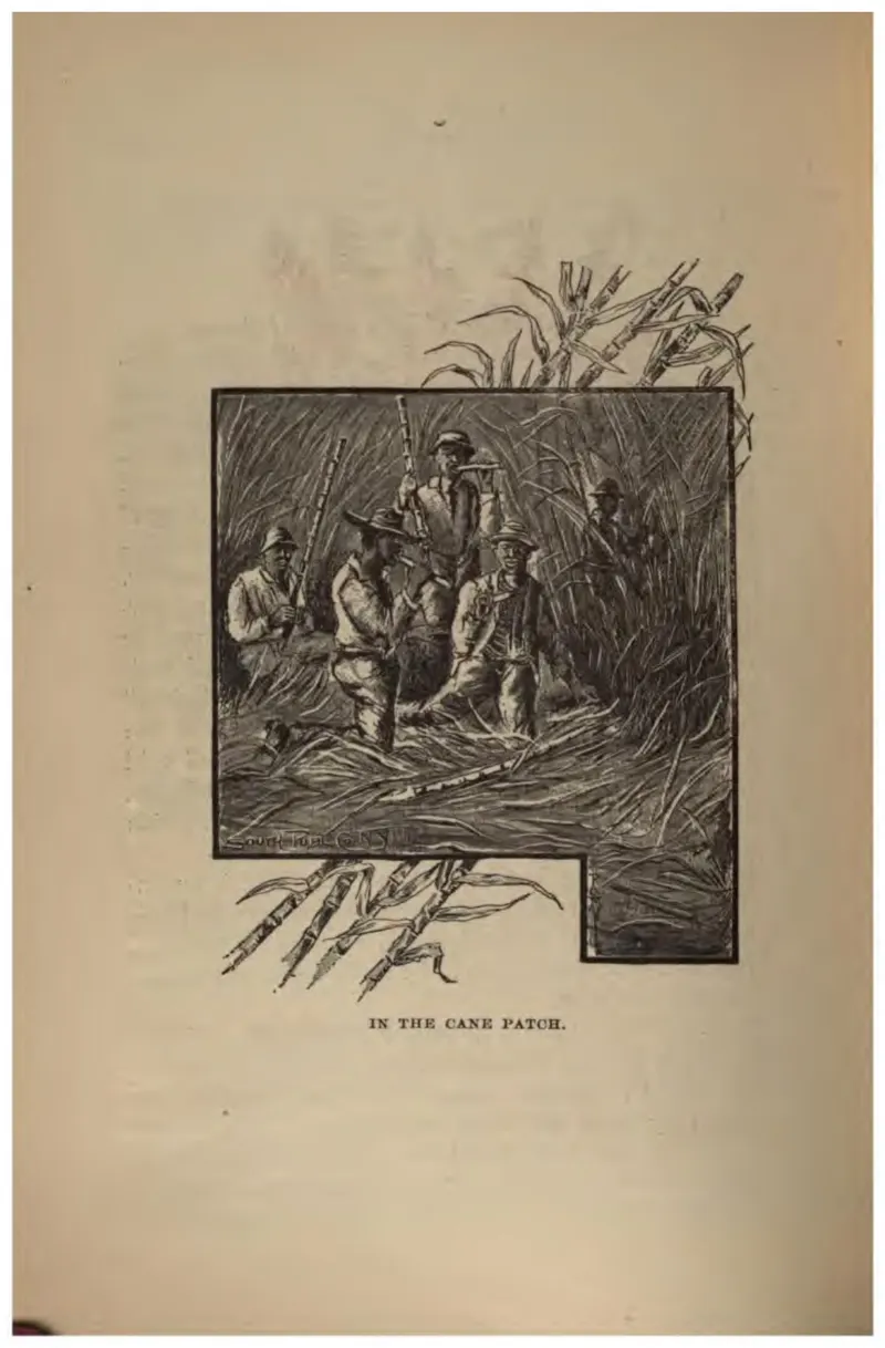 In the Cane Patch (Crosby, 1887)