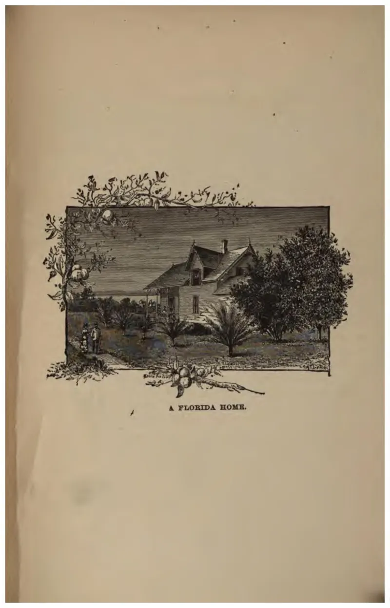 A Florida Home (Crosby, 1887)