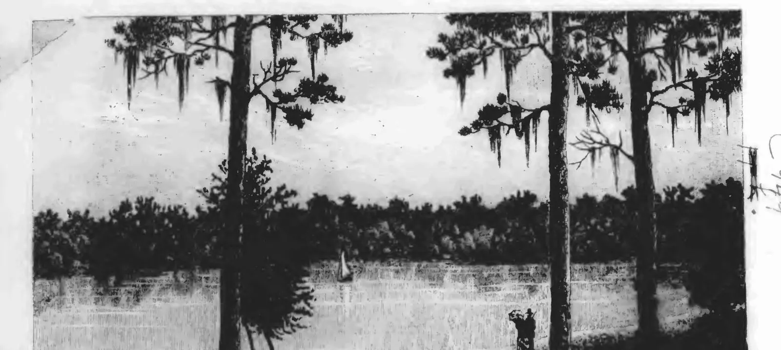 Frontispiece plate, Common Sense about Florida, 1888