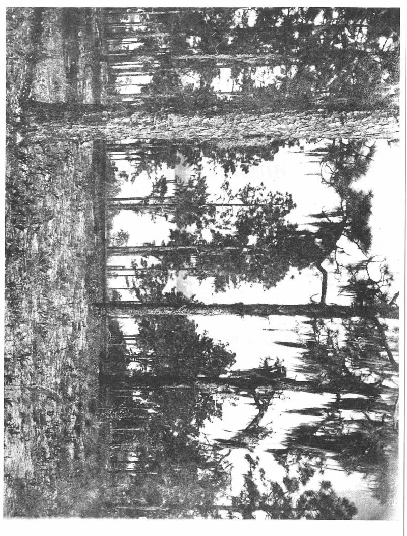 The First Hundred Years of Avon Park, Florida, page 7, figure 1