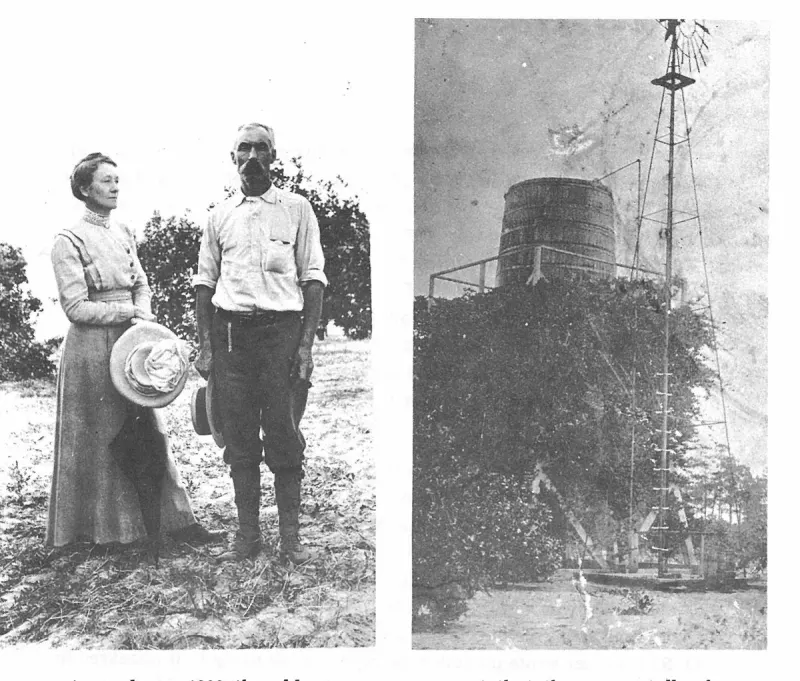 The First Hundred Years of Avon Park, Florida, page 34, figure 1