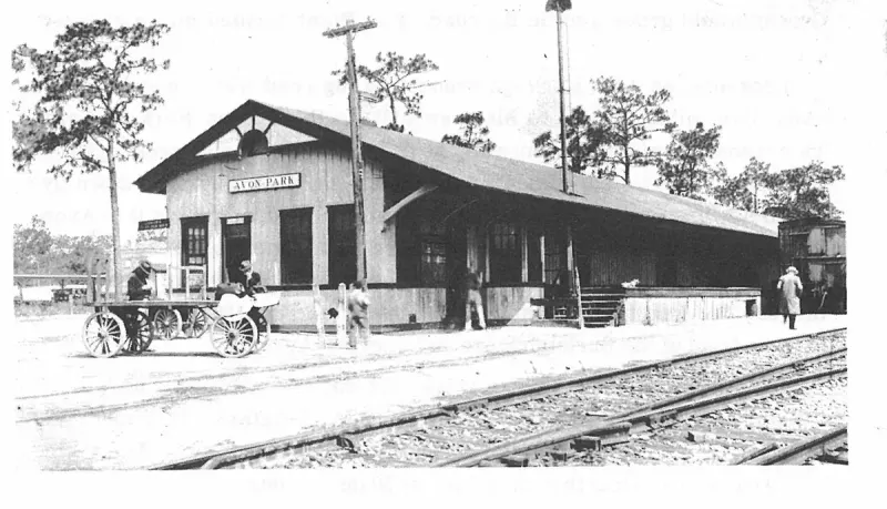 The First Hundred Years of Avon Park, Florida, page 125, figure 1