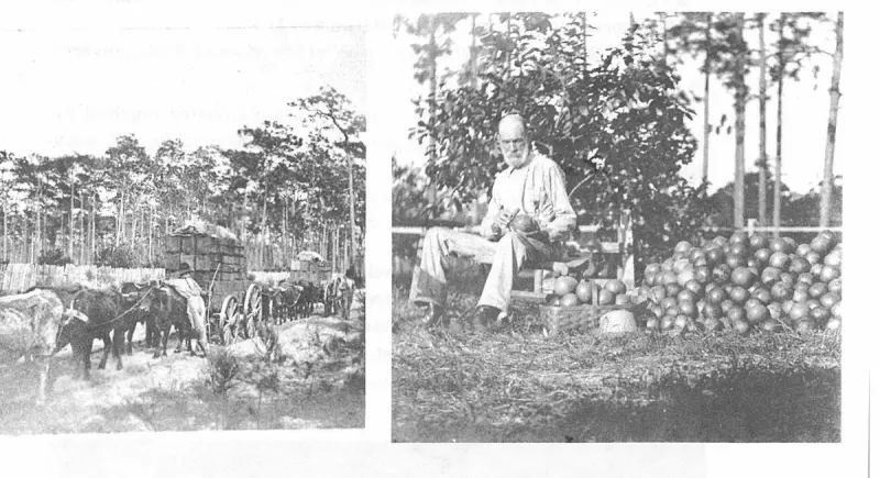 The First Hundred Years of Avon Park, Florida, page 142, figure 1
