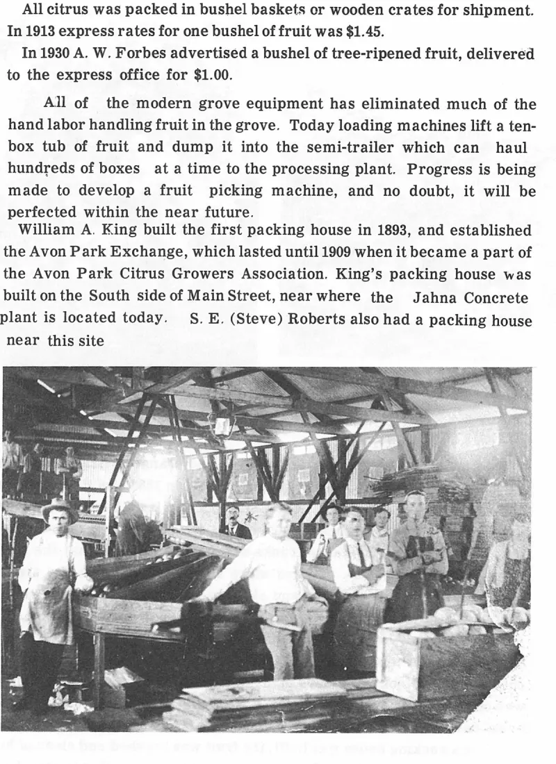 The First Hundred Years of Avon Park, Florida, page 143, figure 1
