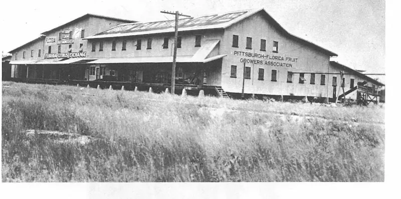 The Avon Park Citrus Growers Association became a part of the Florida Citrus Exchange and built a large house
