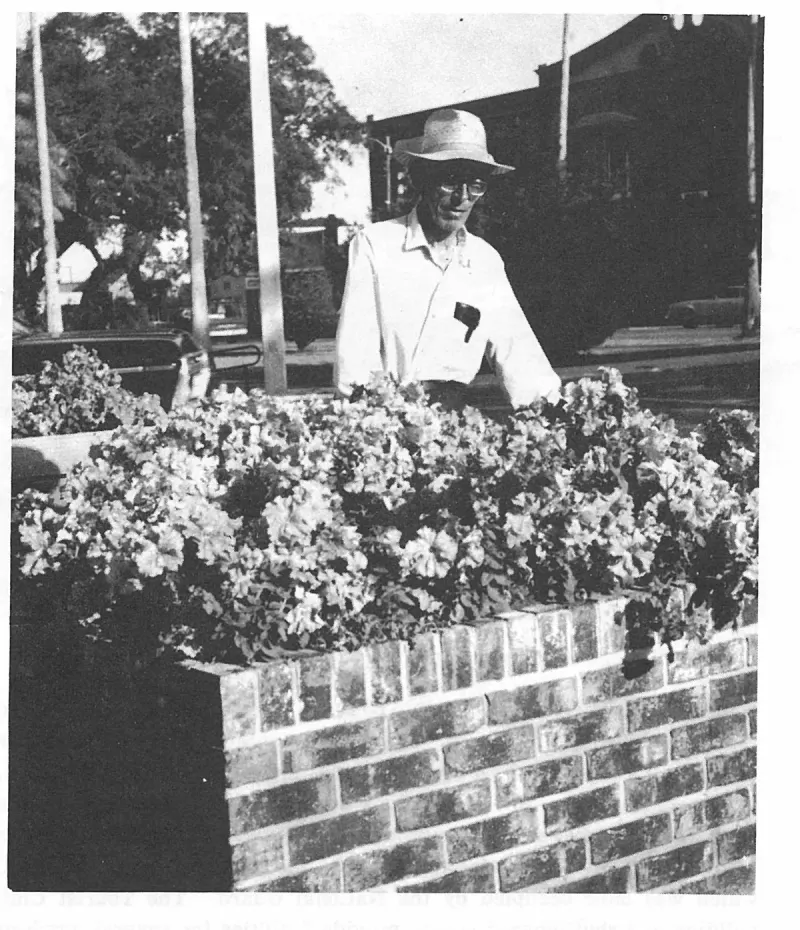 The First Hundred Years of Avon Park, Florida, page 195, figure 1