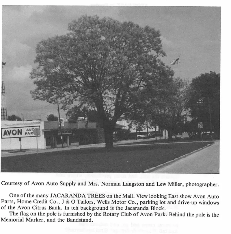 Courtesy of Avon Auto Supply and Mrs. Norman Langston and Lew Miller, photographer