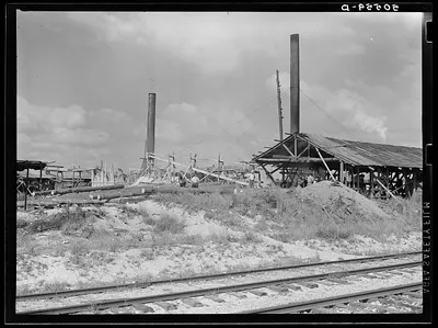 Small sawmill in Childs, Florida, 1939