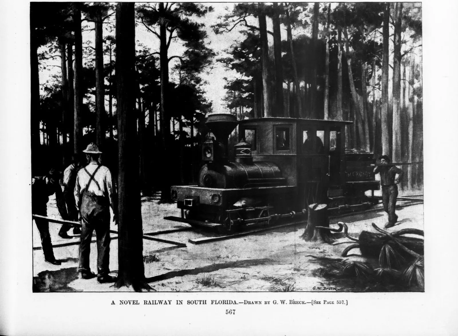 A Novel Railway in South Florida, 1895