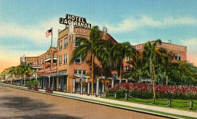 The Hotel Jacaranda, on a linen postcard