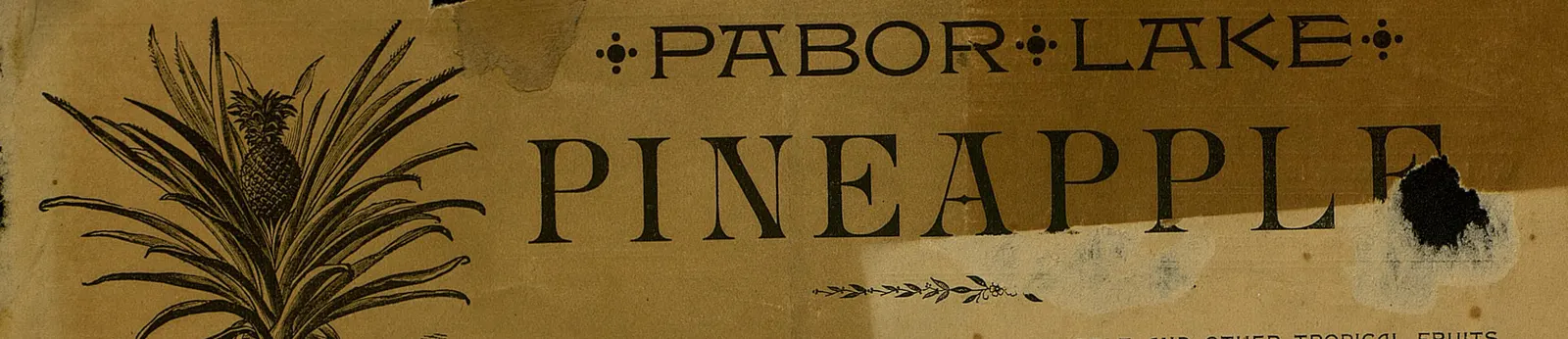 Pabor Lake Pineapple masthead, October 1892