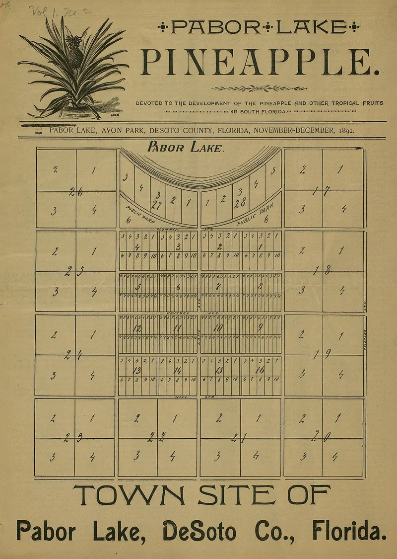 Plat map of the Pabor Lake town site
